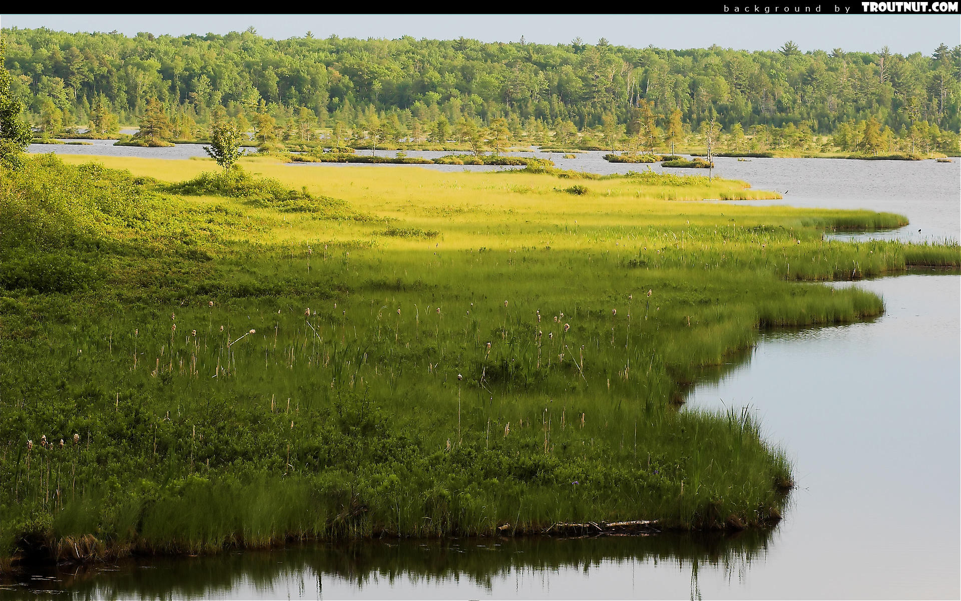 Wallpapers widescreen HQ - Fonds d ecran large HD - 1072